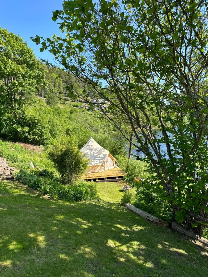 Glamping On Idyllic Lake, Paddle Boards & Rowboat Porsgrunn Exterior foto